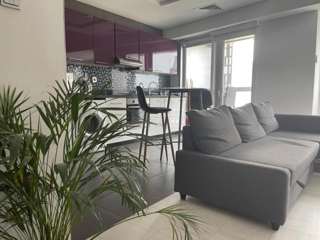 Cayan Tower Luxury Apartment With Sea View Dubai Dış mekan fotoğraf